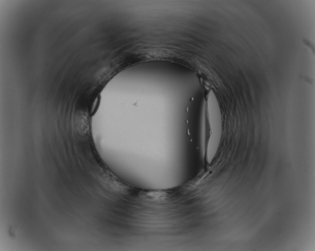 X0000091170478200709060937