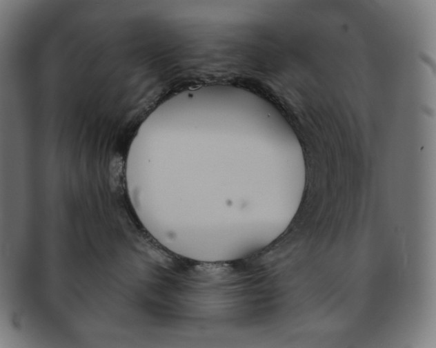 X0000091170480200709060937