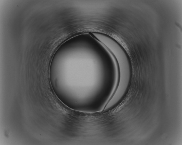 X0000091170481200709060937