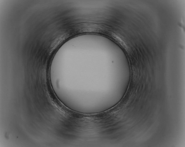 X0000091170482200709060937