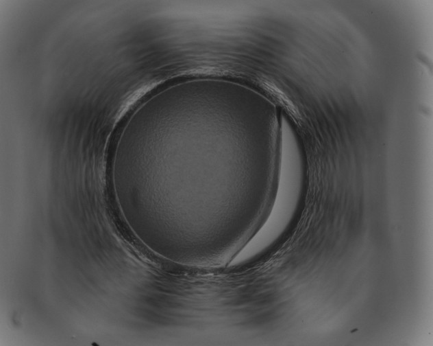 X0000091170484200709060937