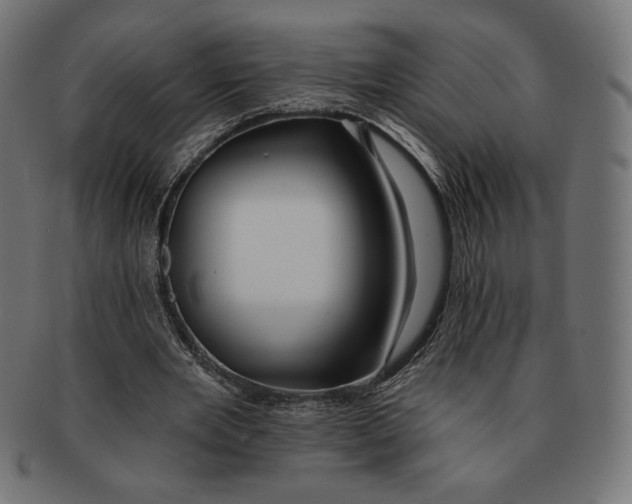 X0000091170485200709060937
