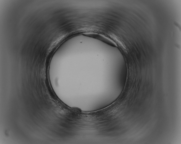 X0000091170486200709060937