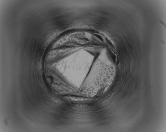 X0000091170487200709060937