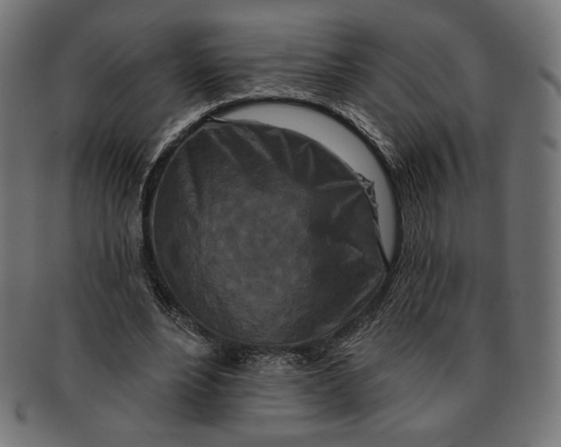 X0000091170488200709060937
