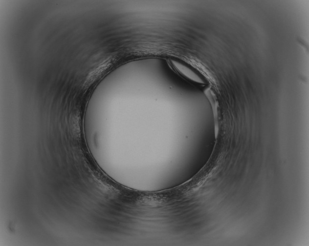 X0000091170489200709060937