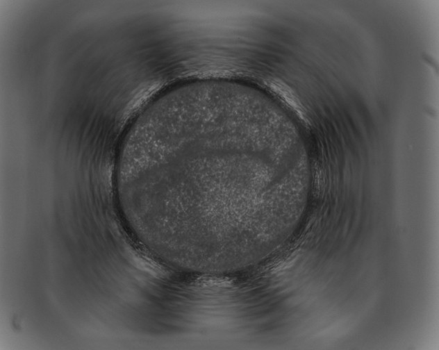 X0000091170491200709060937