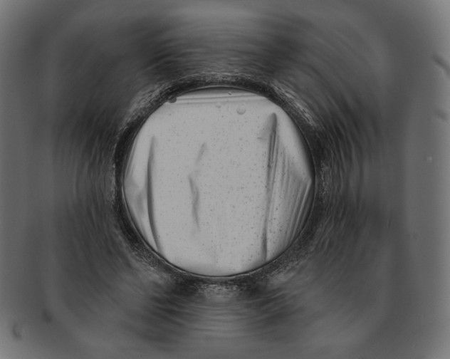 X0000091170494200709060937