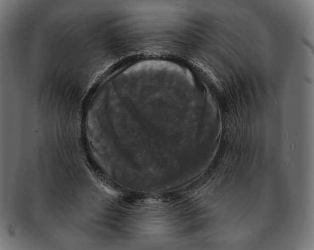 X0000091170496200709060937