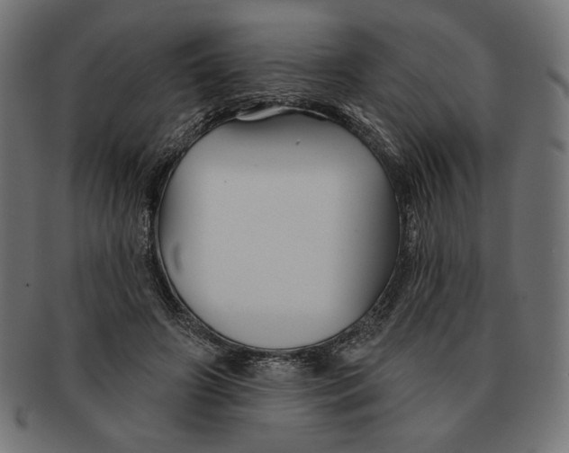 X0000091170498200709060937