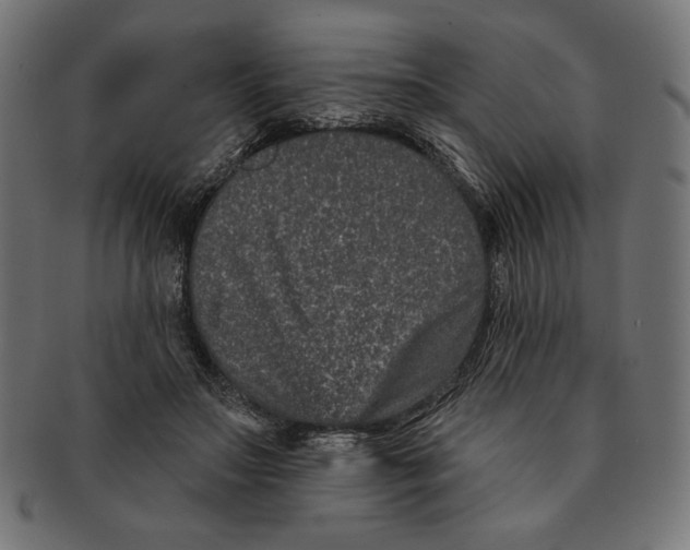 X0000091170499200709060937