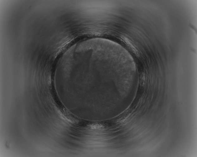 X0000091170500200709060937