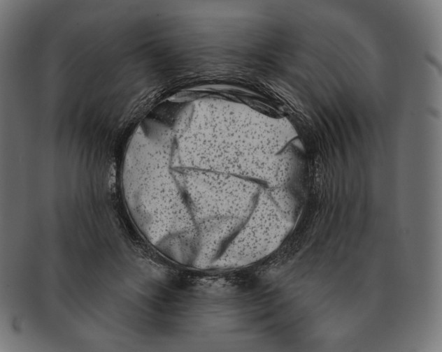 X0000091170502200709060937