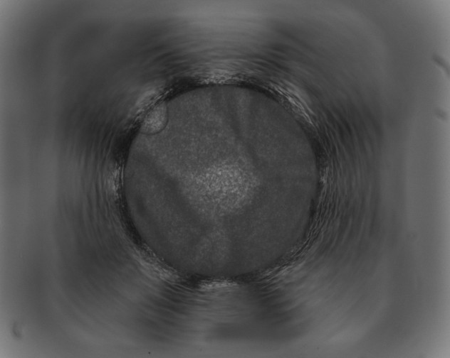 X0000091170503200709060936