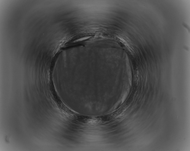 X0000091170504200709060936