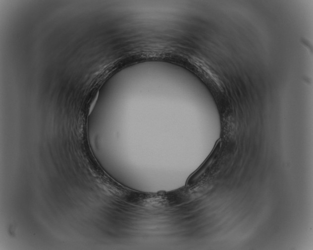 X0000091170505200709060936