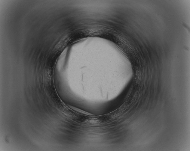 X0000091170506200709060936