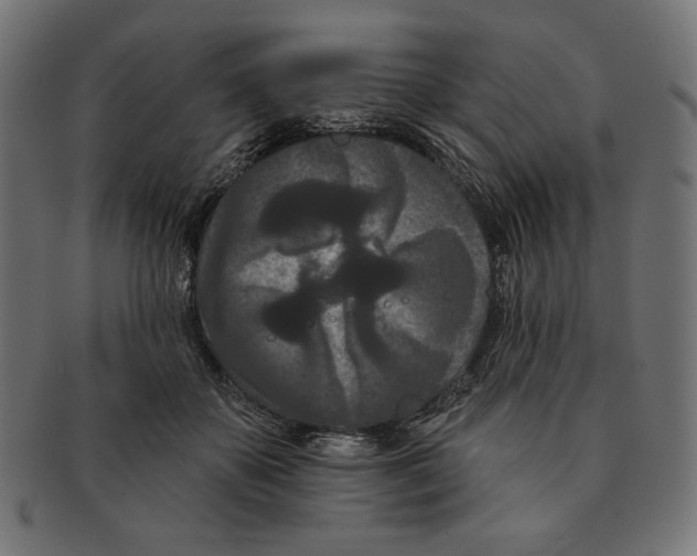 X0000091170507200709060936