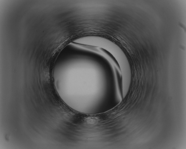 X0000091170508200709060936