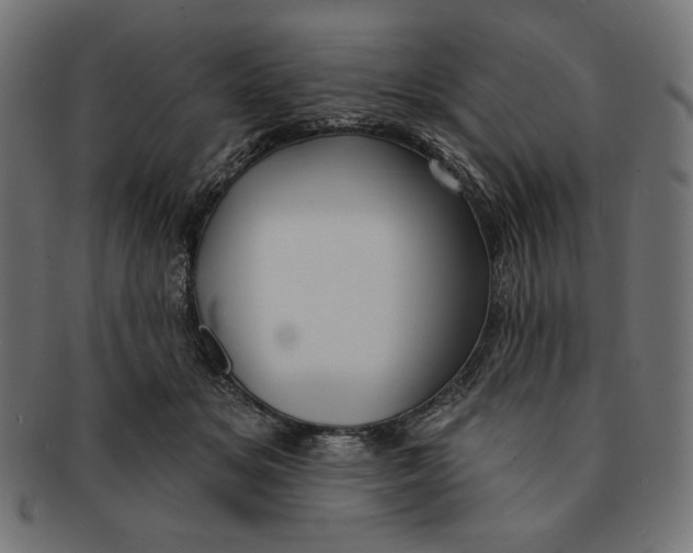 X0000091170509200709060936