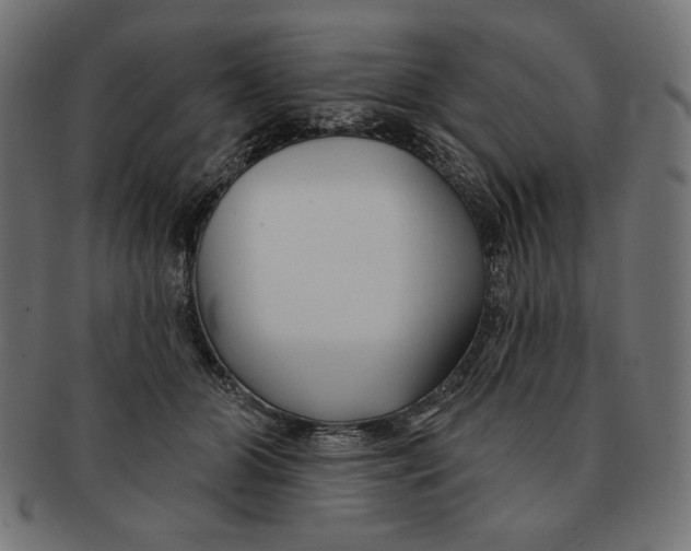 X0000091170510200709060936