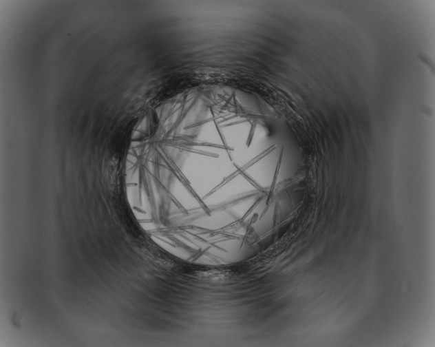 X0000091170511200709060936