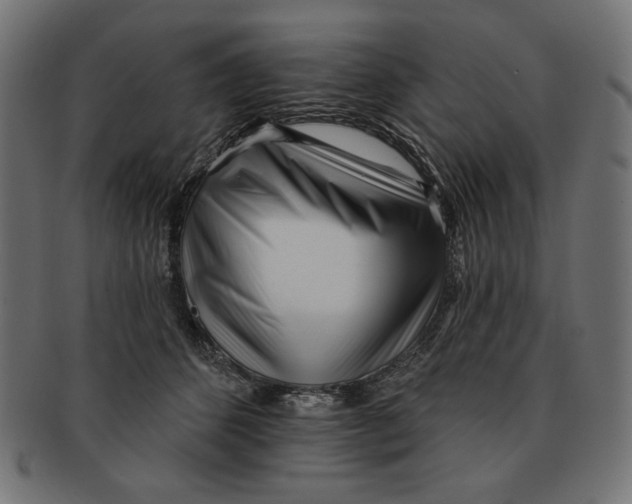 X0000091170512200709060936