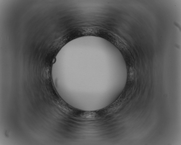 X0000091170514200709060936