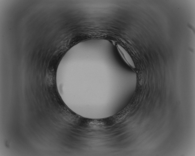 X0000091170515200709060936