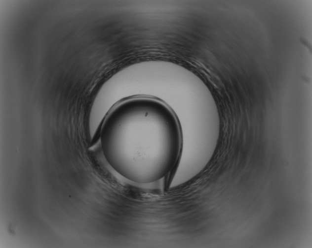 X0000091170516200709060936