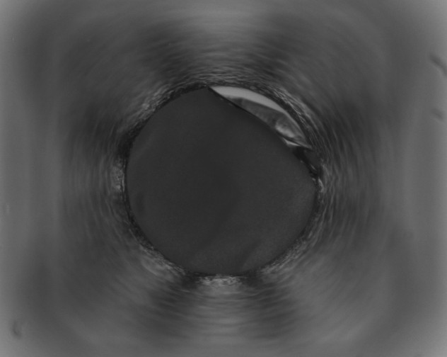 X0000091170517200709060936