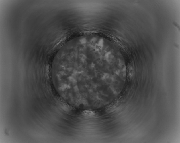 X0000091170519200709060936