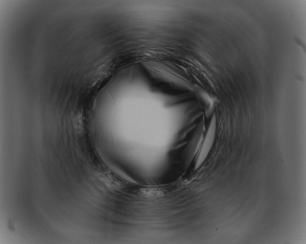 X0000091170520200709060936