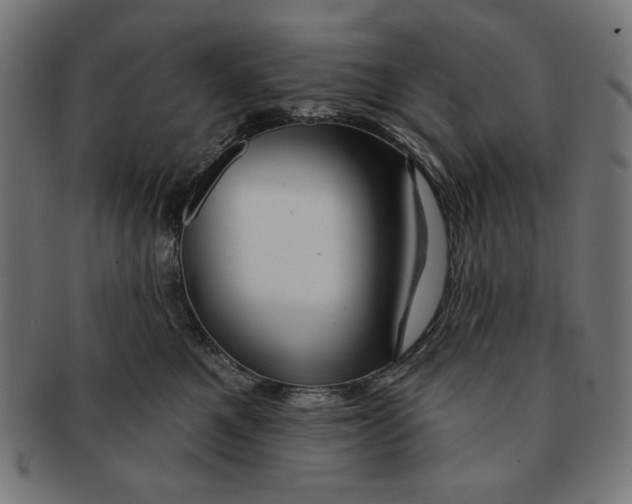 X0000091170521200709060936