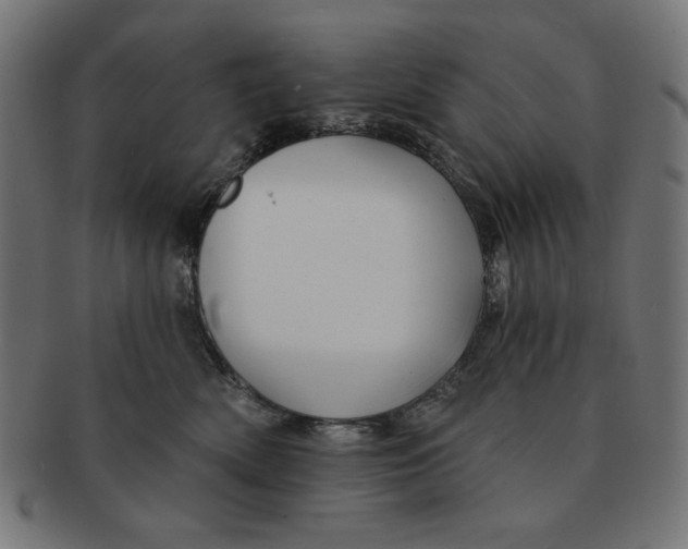 X0000091170522200709060936