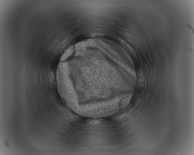 X0000091170523200709060936