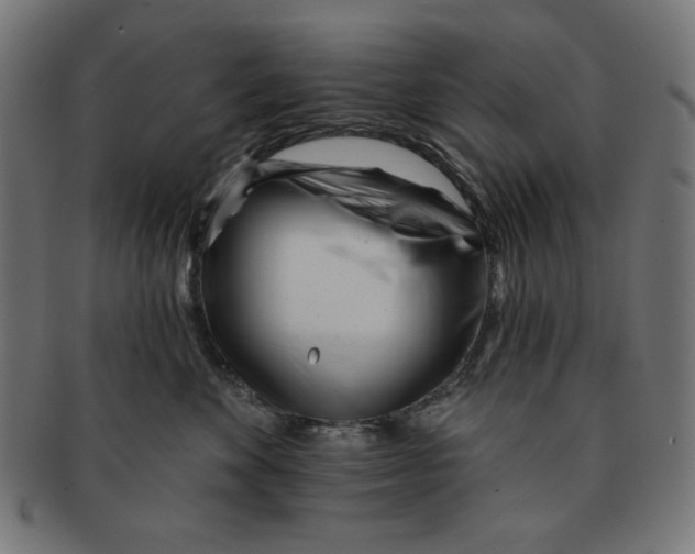 X0000091170524200709060936
