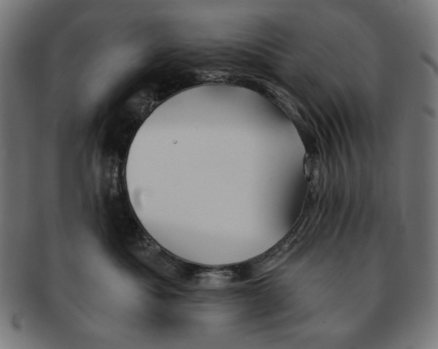X0000091170525200709060936