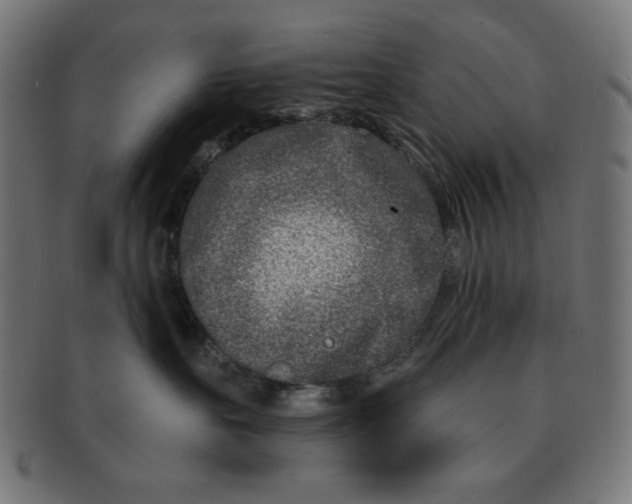 X0000091170527200709060936