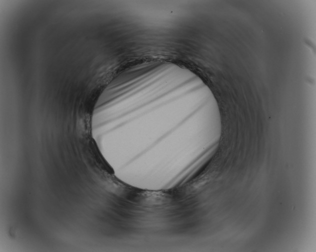 X0000091170528200709060936