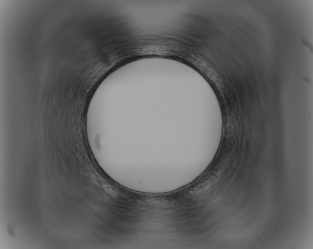 X0000091170529200709060935
