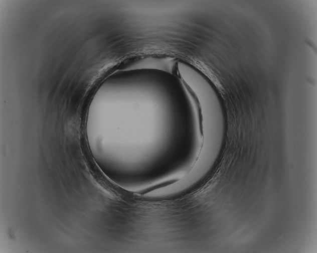X0000091170530200709060935