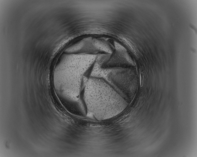 X0000091170531200709060935