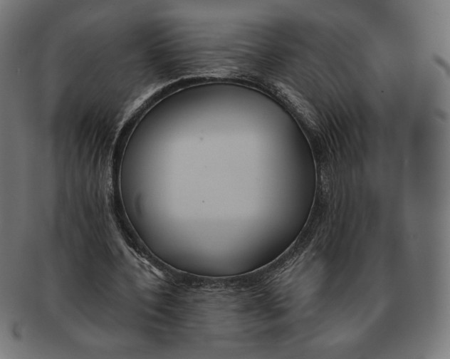X0000091170532200709060935