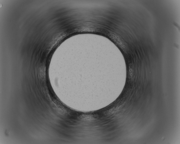 X0000091170534200709060936