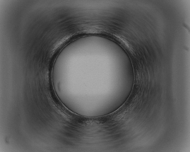 X0000091170535200709060936