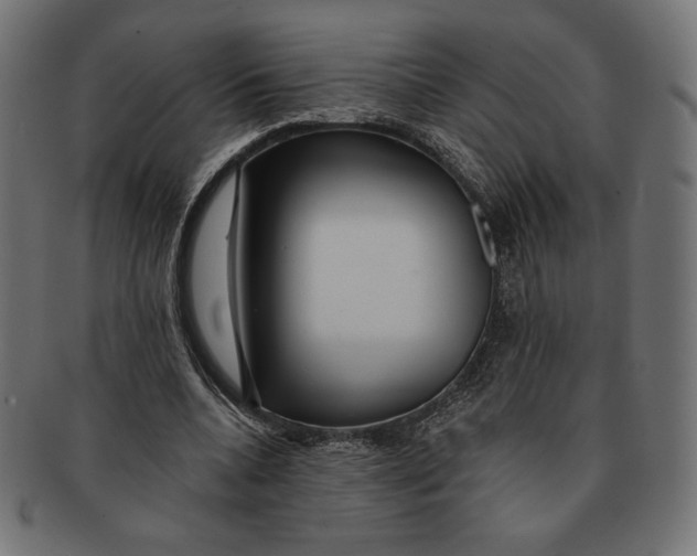 X0000091170536200709060936