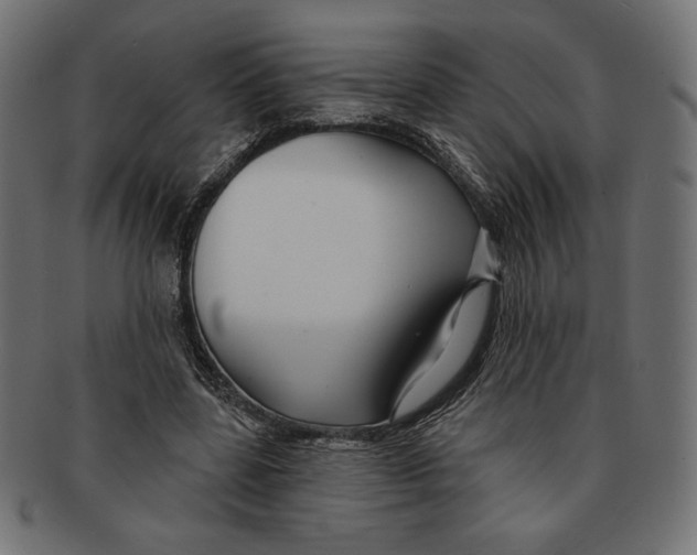 X0000091170539200709060936