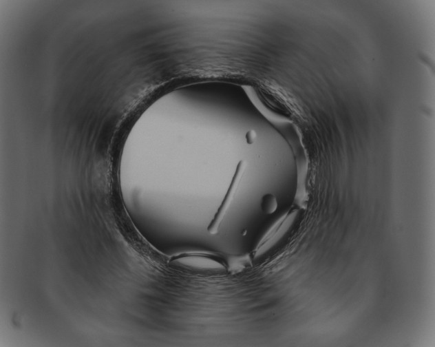 X0000091170540200709060936
