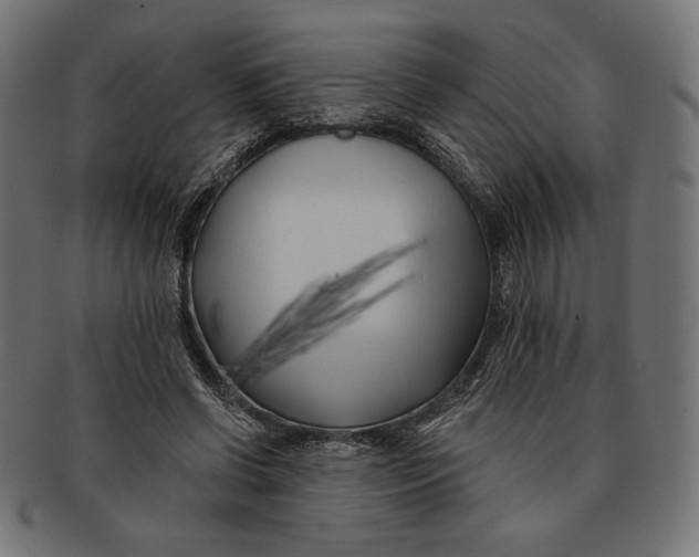 X0000091170542200709060936